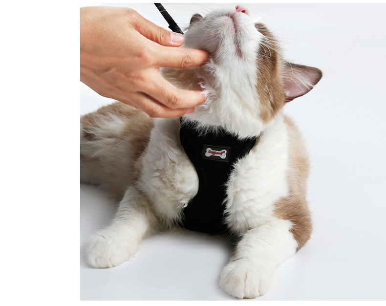 PACKCO No-Escape Mesh Harness breathable mesh close-up