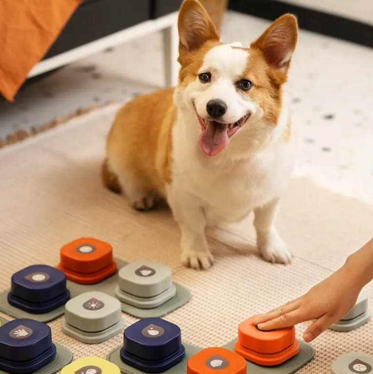 PACKCO Pet Talk Buttons non-slip base detail