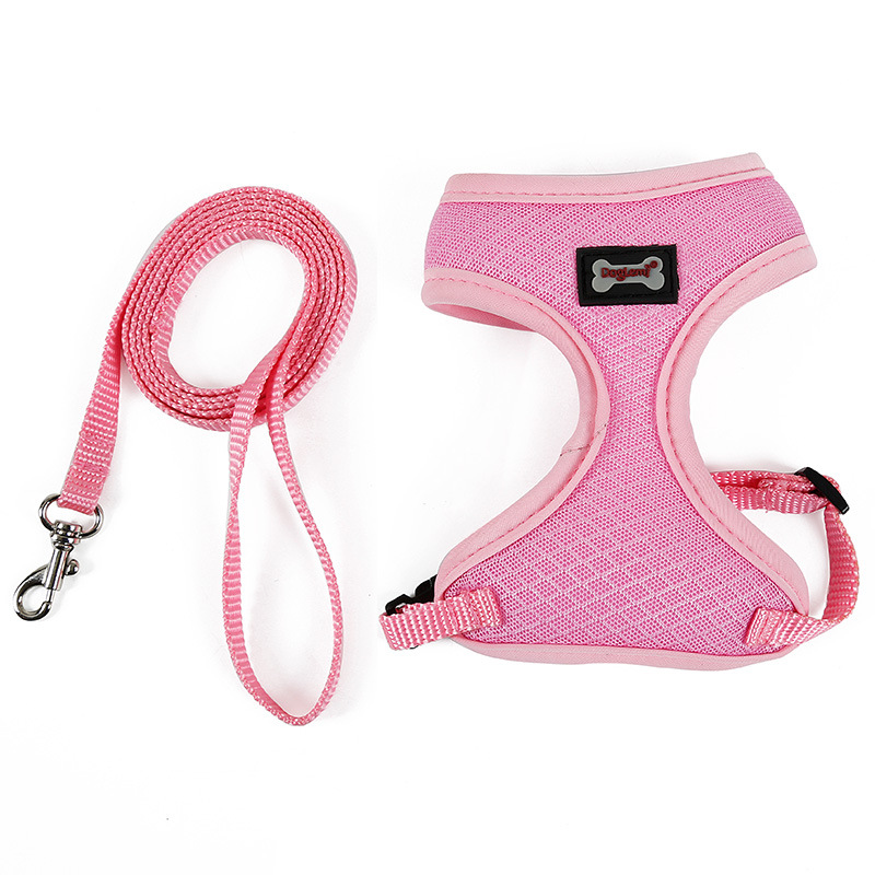 PACKCO No-Escape Mesh Harness — Cats & Small Dogs