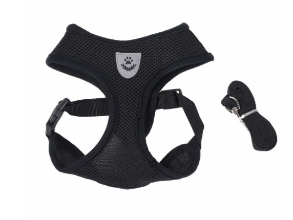 Cat wearing the PACKCO No-Escape Mesh Harness on a walk