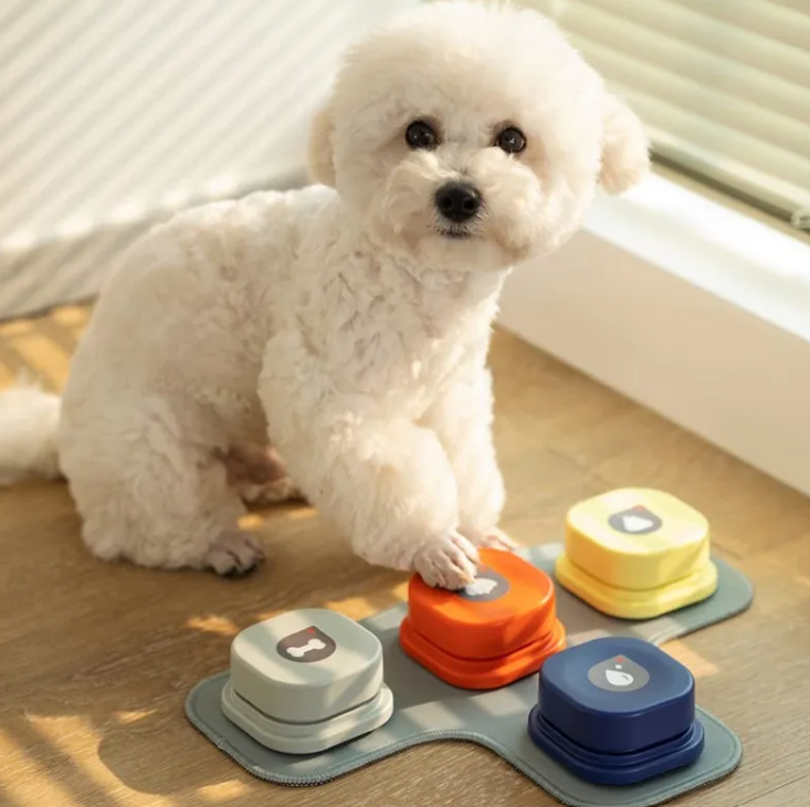 PACKCO Pet Talk Buttons — Communication Training Set