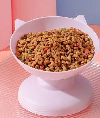 PACKCO Oversize Pet Bowl spill-free design — main product photo