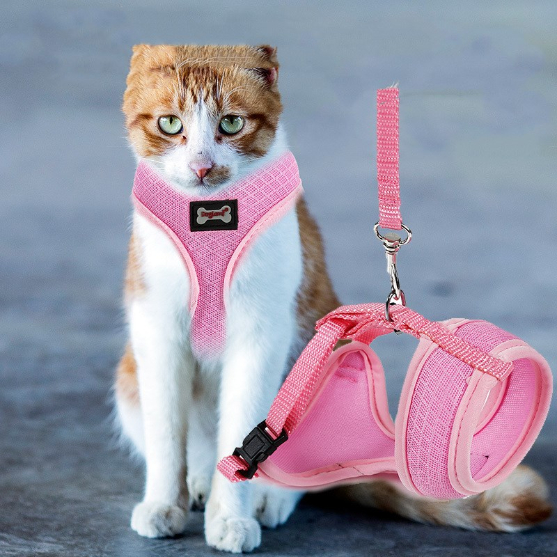 PACKCO No-Escape Mesh Harness — Cats & Small Dogs