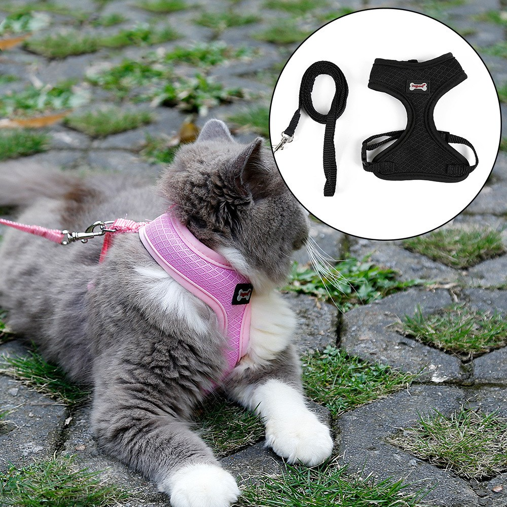PACKCO No-Escape Mesh Harness — Cats & Small Dogs