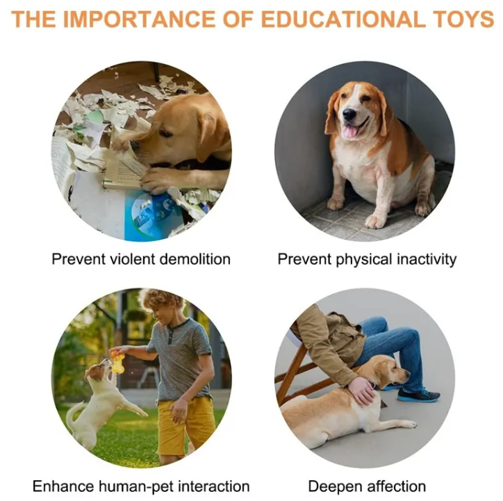 Dog pressing a PACKCO Talk Button to communicate