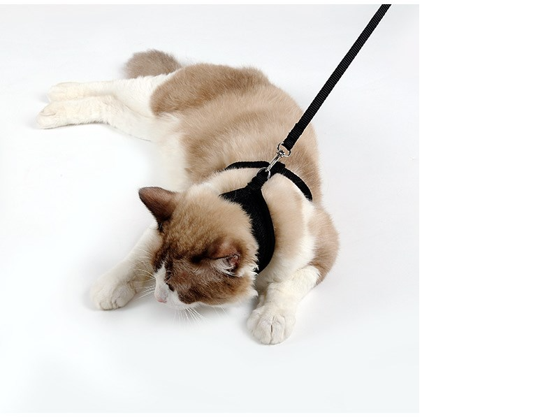 PACKCO No-Escape Mesh Harness — Cats & Small Dogs